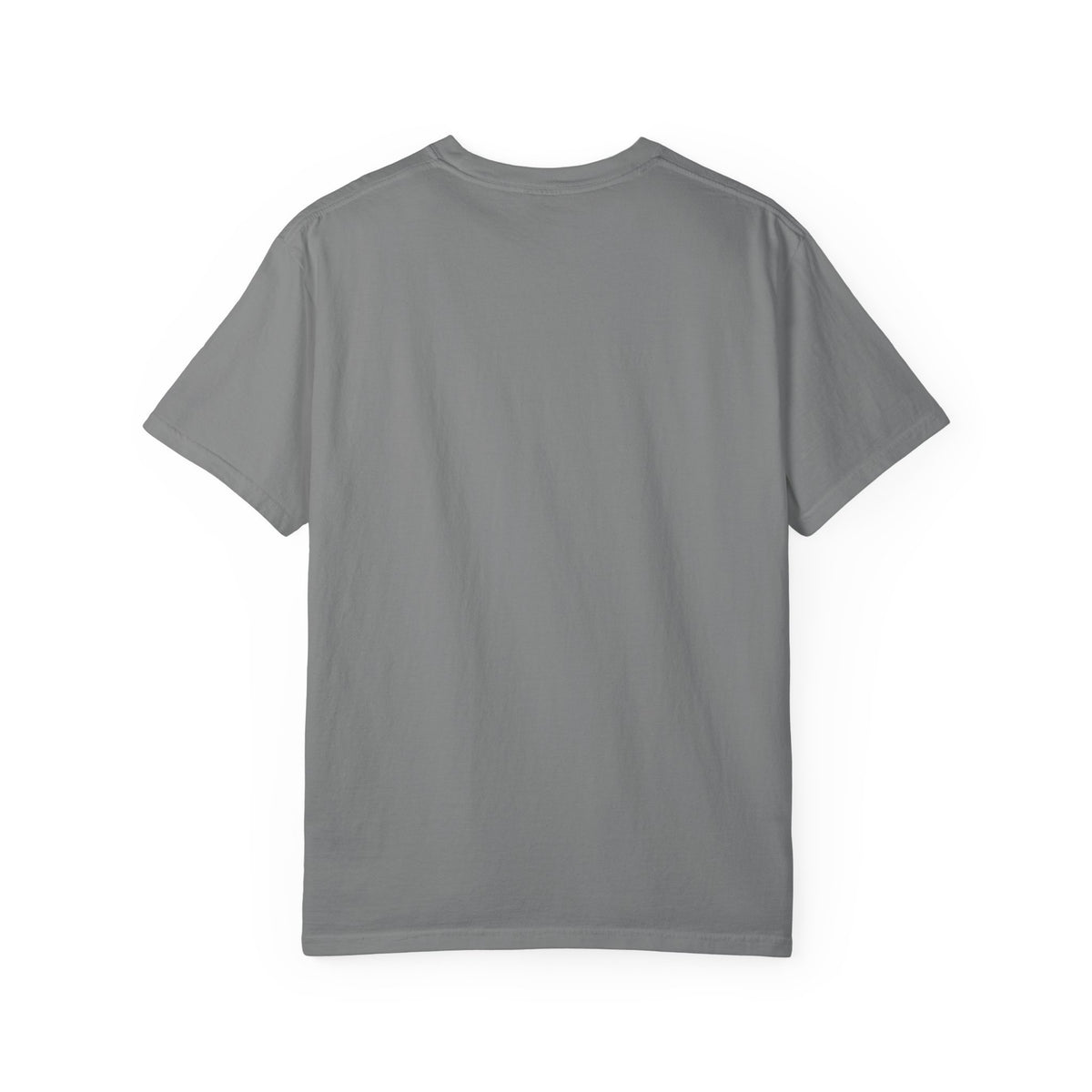 False Accusations / Real Accusations Statement Tee | Comfort Colors® 1717