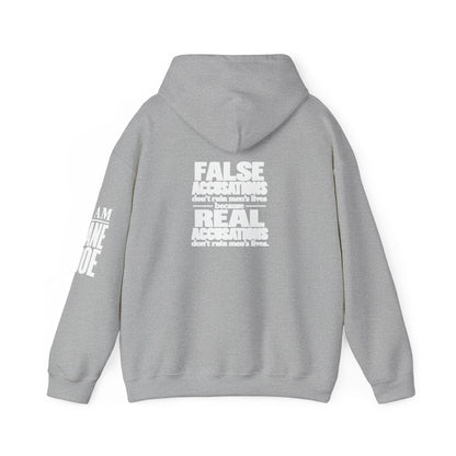 I AM JANE DOE / False Accusations Hoodie — Dark Colors