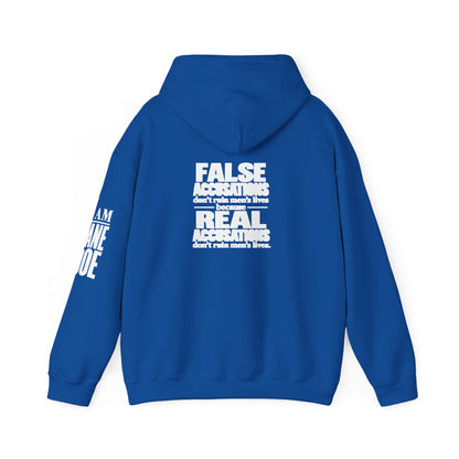 I AM JANE DOE / False Accusations Hoodie — Dark Colors