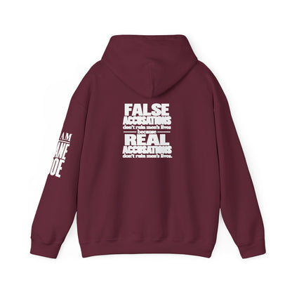 I AM JANE DOE / False Accusations Hoodie — Dark Colors