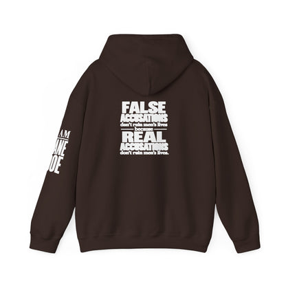I AM JANE DOE / False Accusations Hoodie — Dark Colors