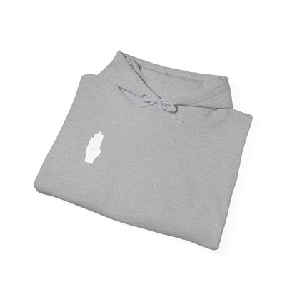 I AM JANE DOE / False Accusations Hoodie — Dark Colors