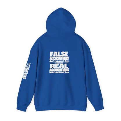 I AM JANE DOE / False Accusations Hoodie — Dark Colors