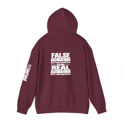 I AM JANE DOE / False Accusations Hoodie — Dark Colors