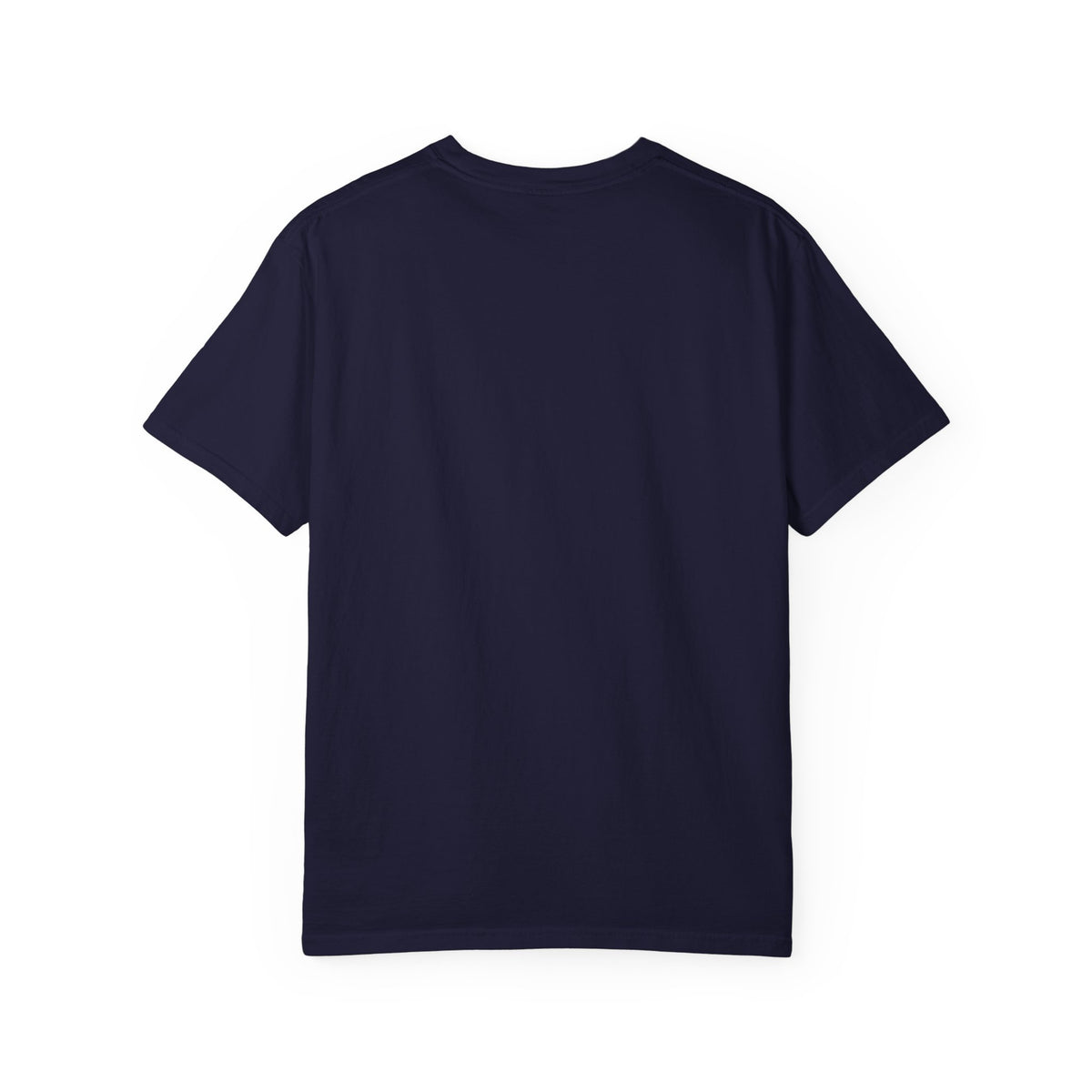 False Accusations / Real Accusations Statement Tee | Comfort Colors® 1717