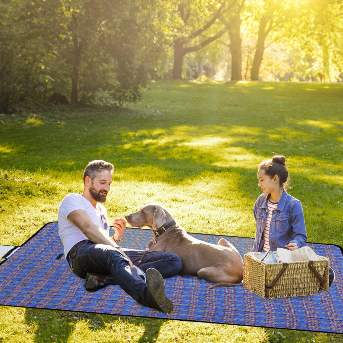 60" x 78" Waterproof Picnic Blanket Handy Mat with Strap Foldable Camping Rug for Camping Hiking Grass Travelling