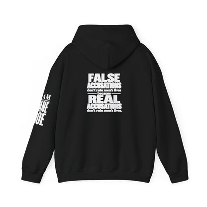 I AM JANE DOE / False Accusations Hoodie — Dark Colors