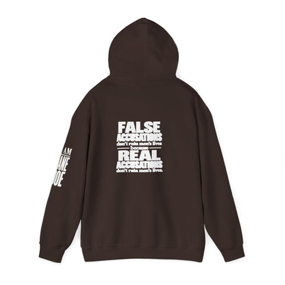 I AM JANE DOE / False Accusations Hoodie — Dark Colors