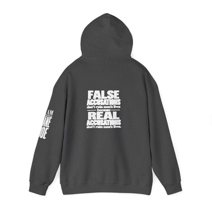 I AM JANE DOE / False Accusations Hoodie — Dark Colors