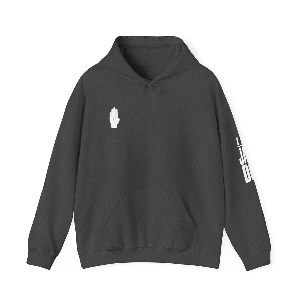 I AM JANE DOE / False Accusations Hoodie — Dark Colors