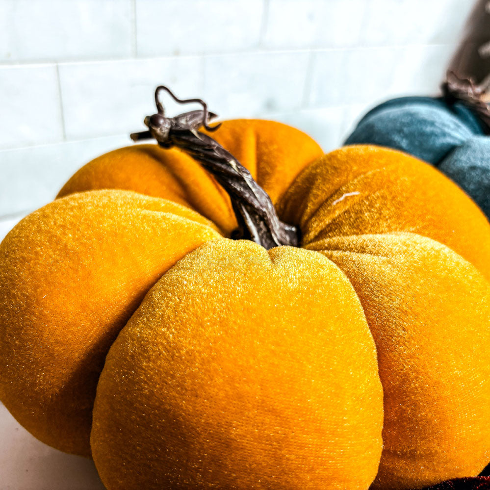 Velvet Jewel-Tone Pumpkins