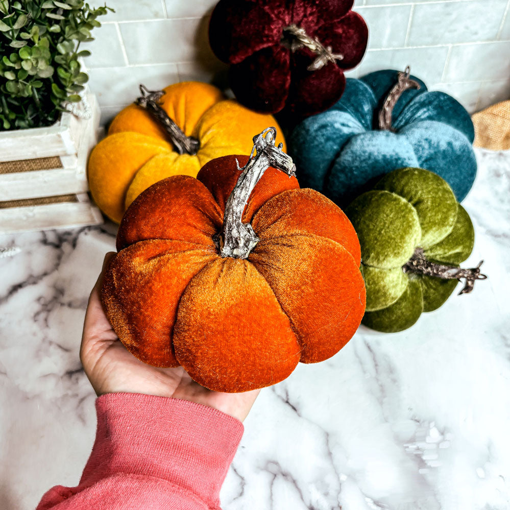 Velvet Jewel-Tone Pumpkins