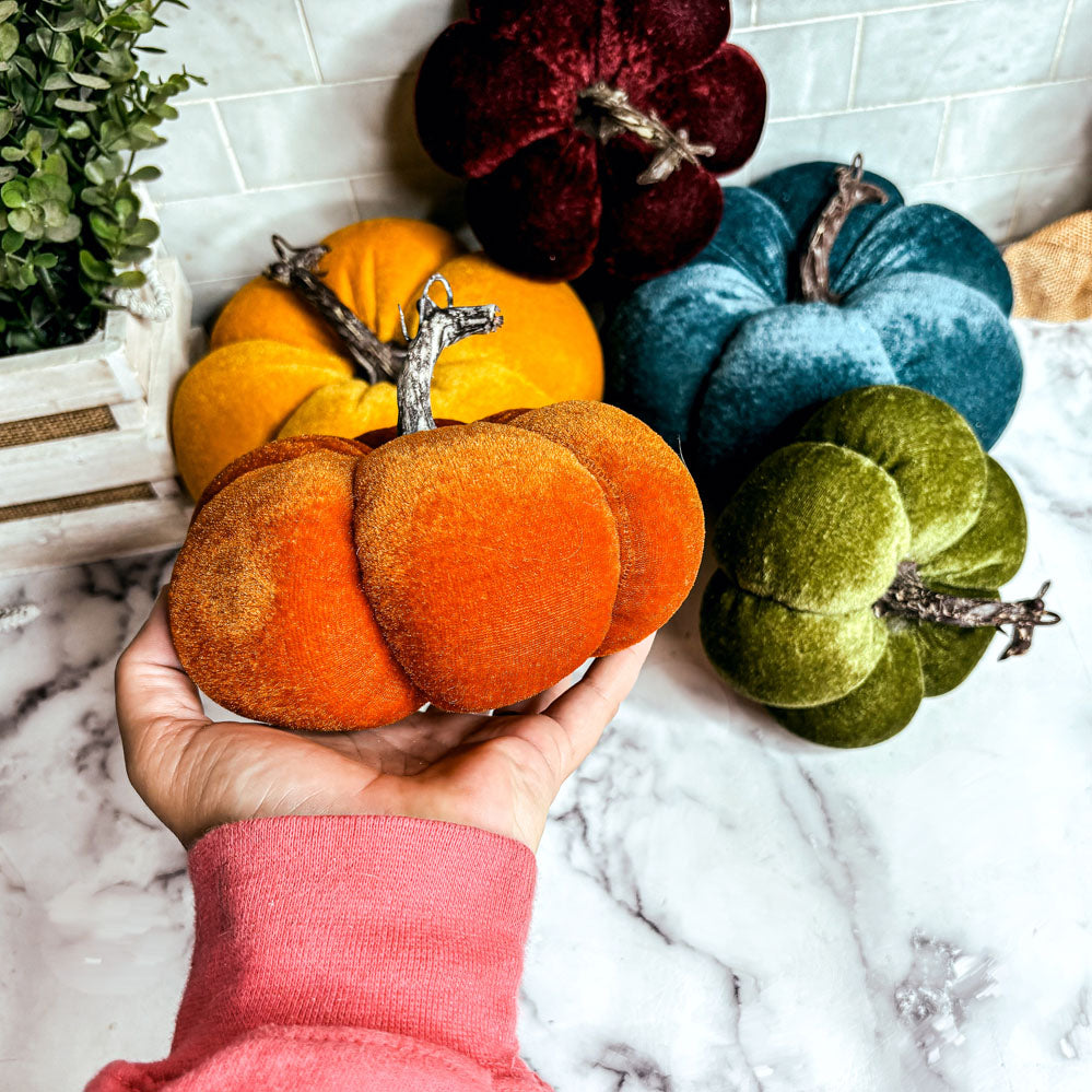 Velvet Jewel-Tone Pumpkins