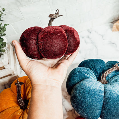 Velvet Jewel-Tone Pumpkins