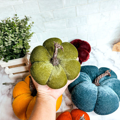 Velvet Jewel-Tone Pumpkins