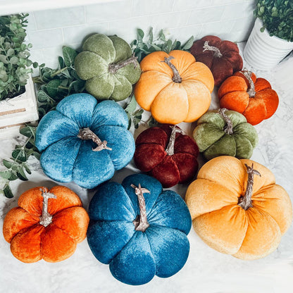 Velvet Jewel-Tone Pumpkins
