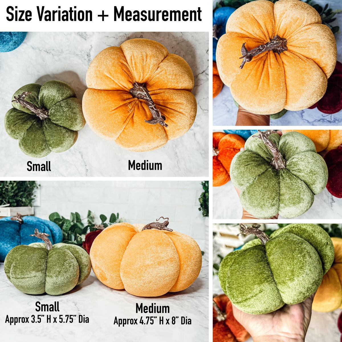 Velvet Jewel-Tone Pumpkins